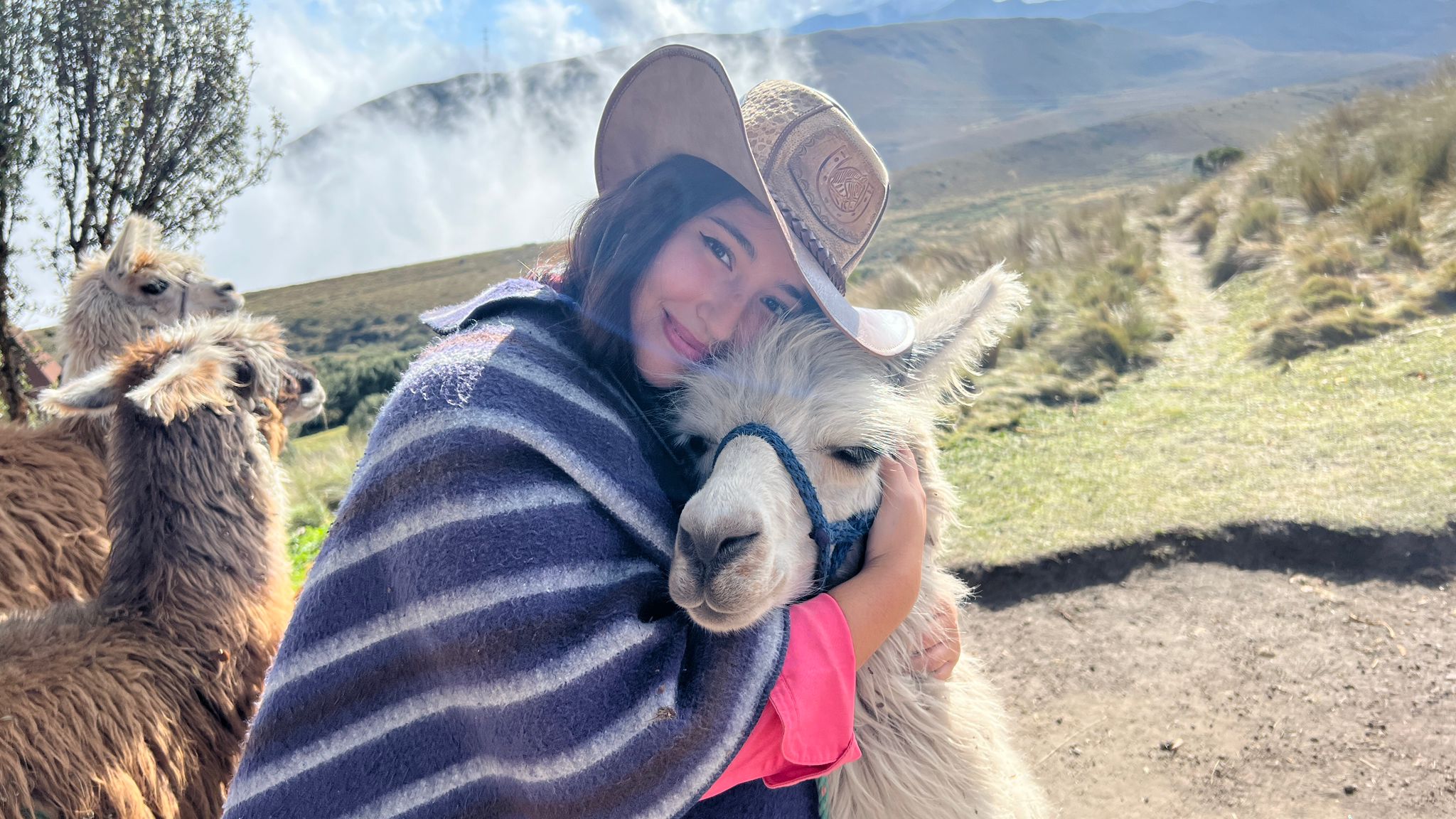 WhatsApp Image 2022-08-29 at 10.05.45 PM WhatsApp Image 2022-08-29 at 10.05.45 PM